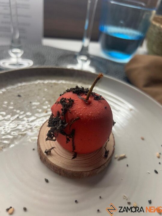 catas museo aceite jonatan_10