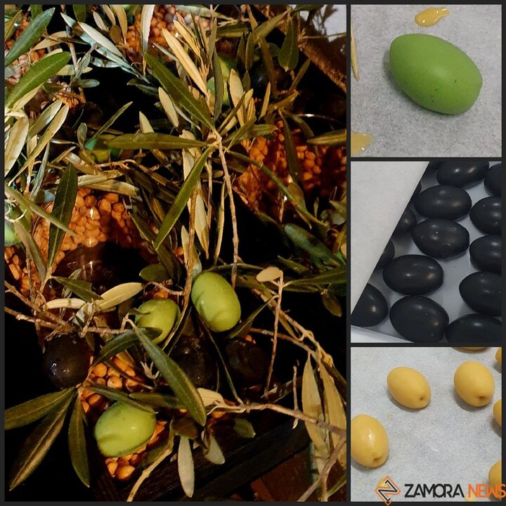 catas museo aceite jonatan_7