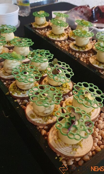 catas museo aceite jonatan_13