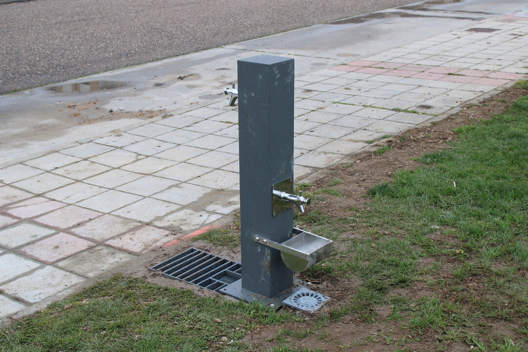 Juegos Caninos Pinilla 2