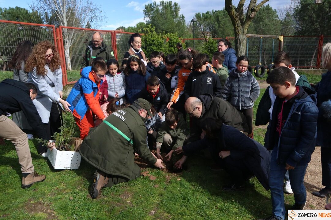 Fernando Prada y los escolares del CEIP Riomanzanas plantan futuro en el Día del Árbol