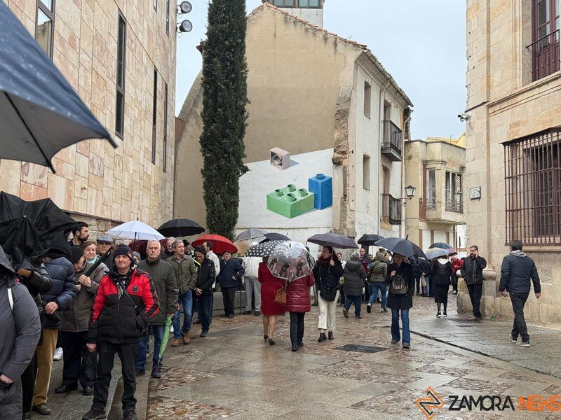 la Diputación de Zamora reparte olivos _8