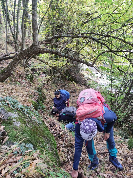 Criosanabria