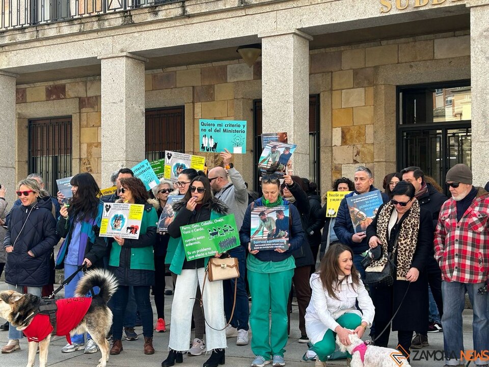 Manifestación Veterinarios _4