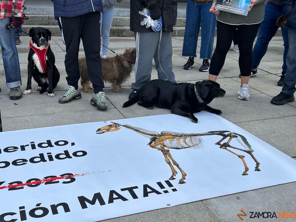 Manifestación Veterinarios _2