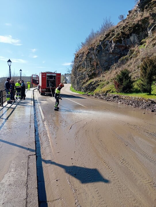 BOMBEROS DE LA DIPUTACIÓN RETIRAN LOS DESPENDIMIENTO DE LA CARRETERA AUTONÓMICA ZA-925 EN PUEBLA DE SANABRIA 1