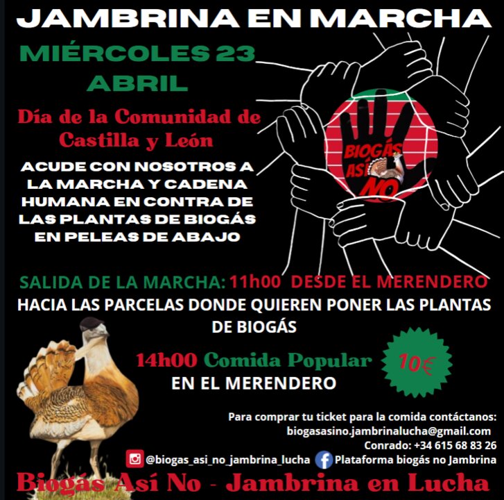 marcha jambrina día 23