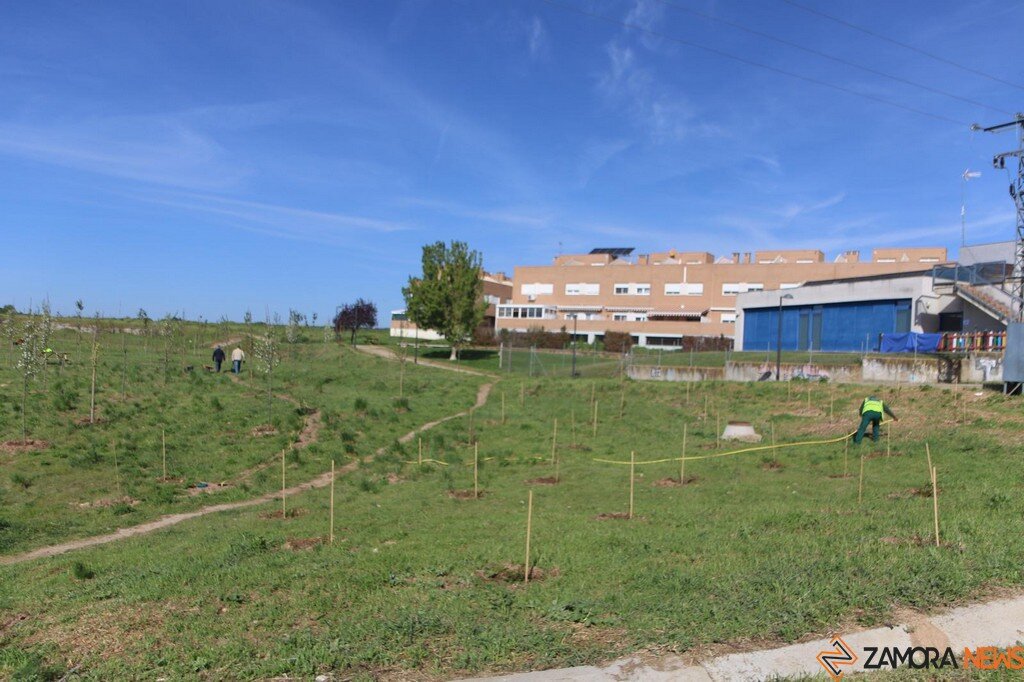 reforestación y la mejora medioambiental en la zona de las Vistillas1