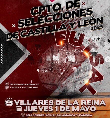 Campeonato de Selecciones de Castilla y León