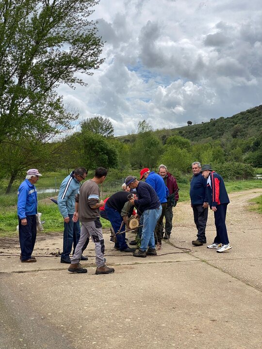 puesta del Mayo en Domez. imagen cecida (1)