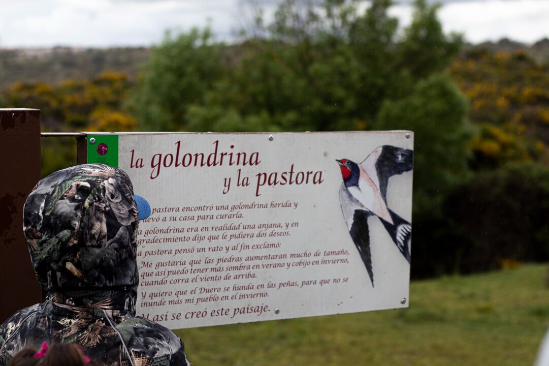 Club Semuret. imagen cecida (7)