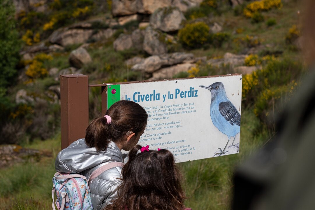 Club Semuret. imagen cecida (3)
