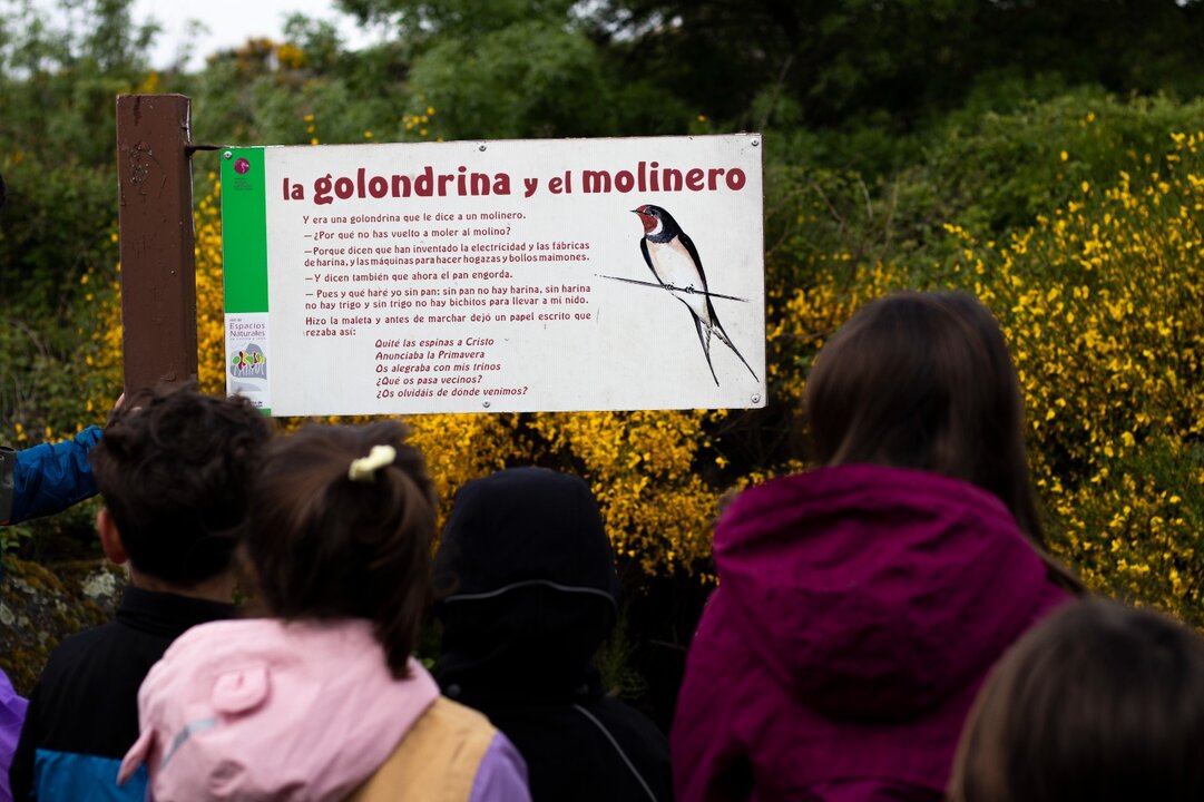 Club Semuret. imagen cecida (1)