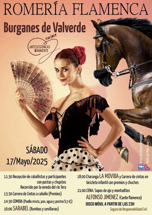 Feria Flamenca Burganes de Valverde
