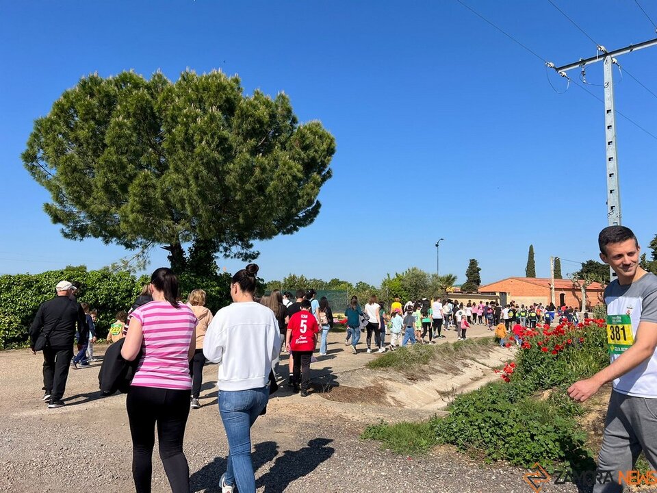 Marcha solidaria CEO Coreses