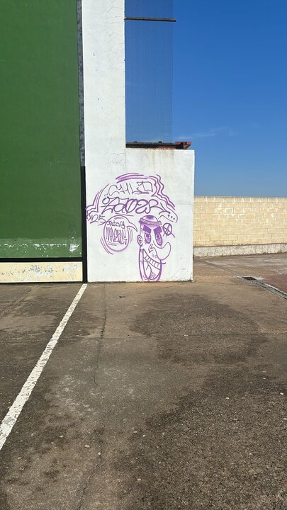 Pintadas en el Polideportivo de Toro