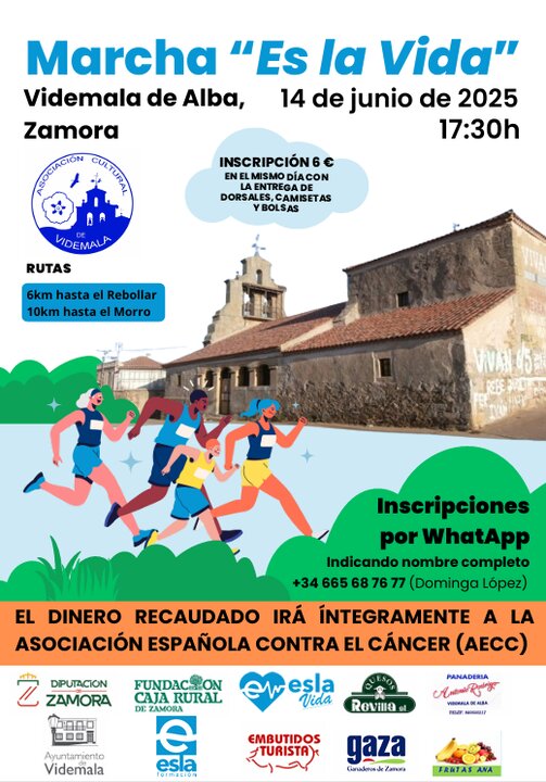 marcha contra el cancer Videmala de Alba