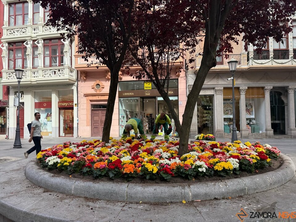 Nuevas flores en la Plaza Sagasta
