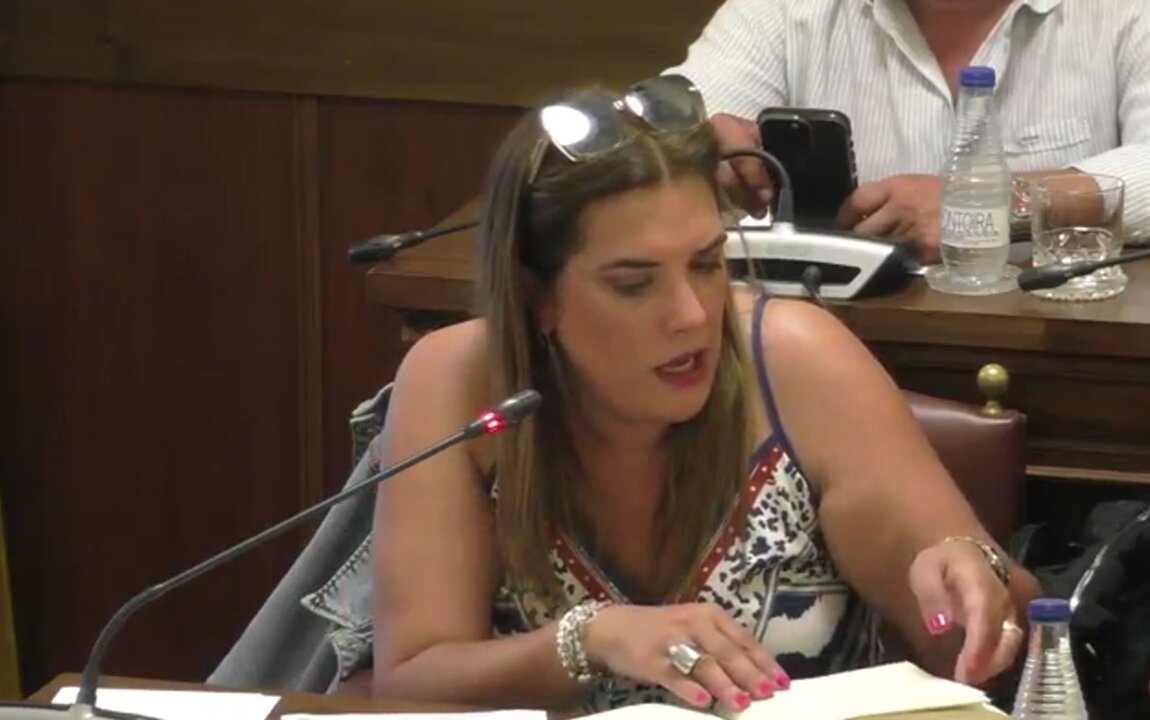 Pleno. Diputación de Zamora