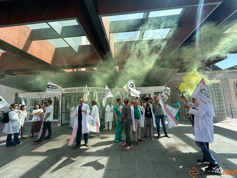manifestación médicos virgen de la concha_2