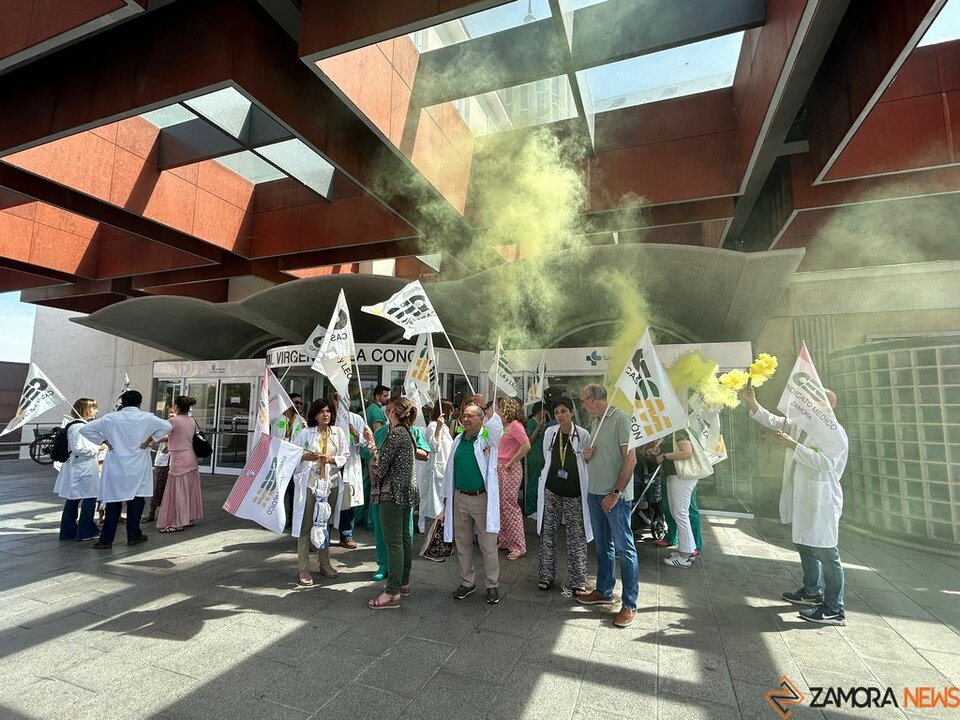 manifestación médicos virgen de la concha