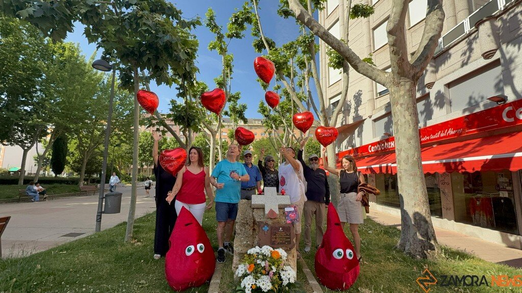 día del donante de sangre