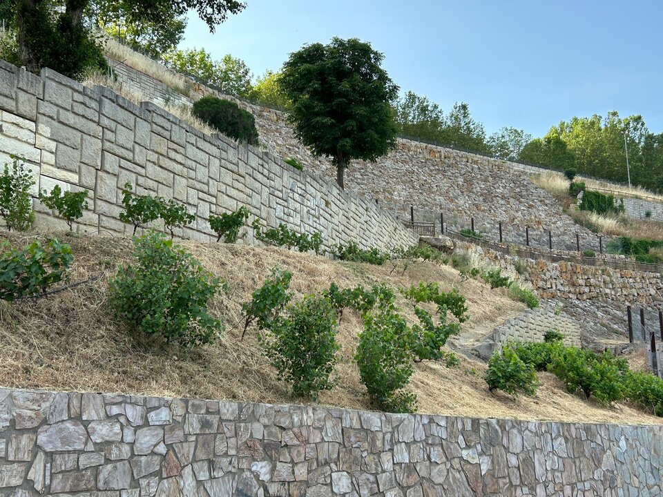 desbroce en Benavente (2)