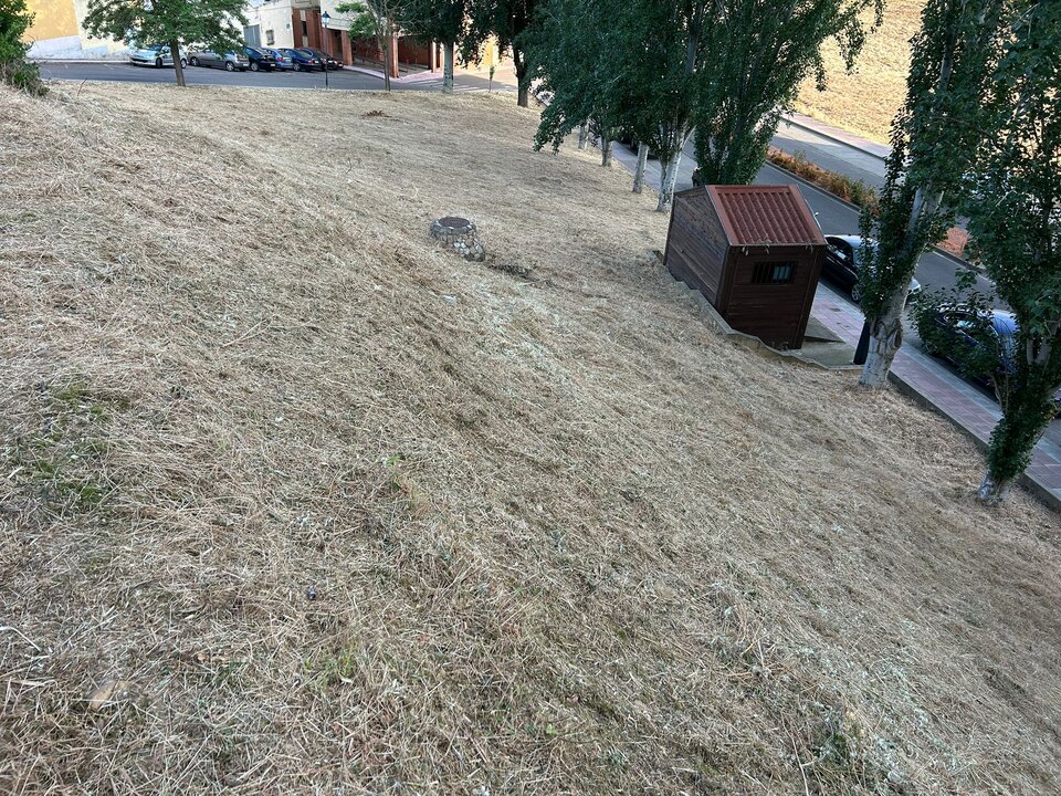 desbroce en Benavente (1)