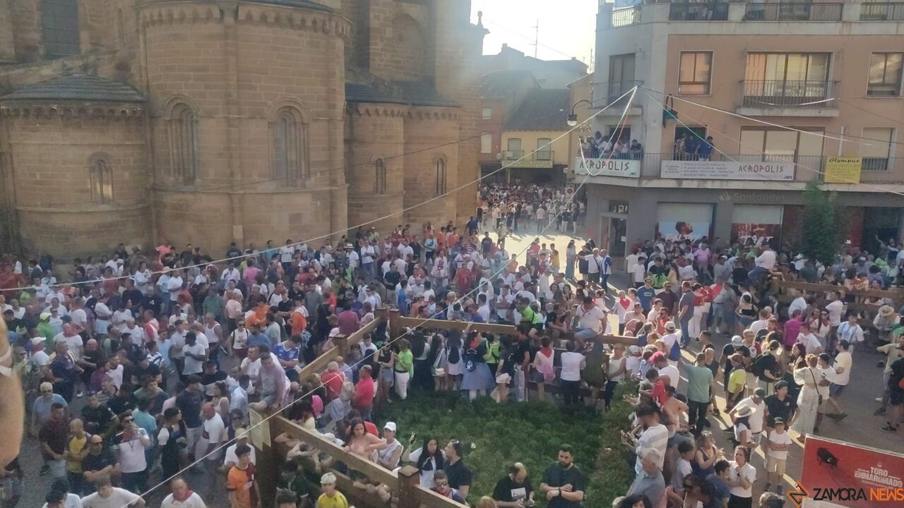 Benavente se rinde ante la fuerza de ‘Galocho’, el Toro Enmaromado de 2025