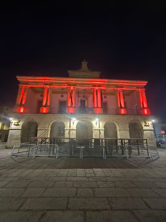 La fachada del Ayuntamiento de Toro se ilumina por la FSHD
