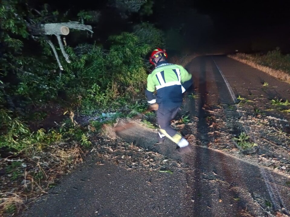 Un árbol de grandes dimensiones corta la carretera entre Nuez de Aliste y la N-122
