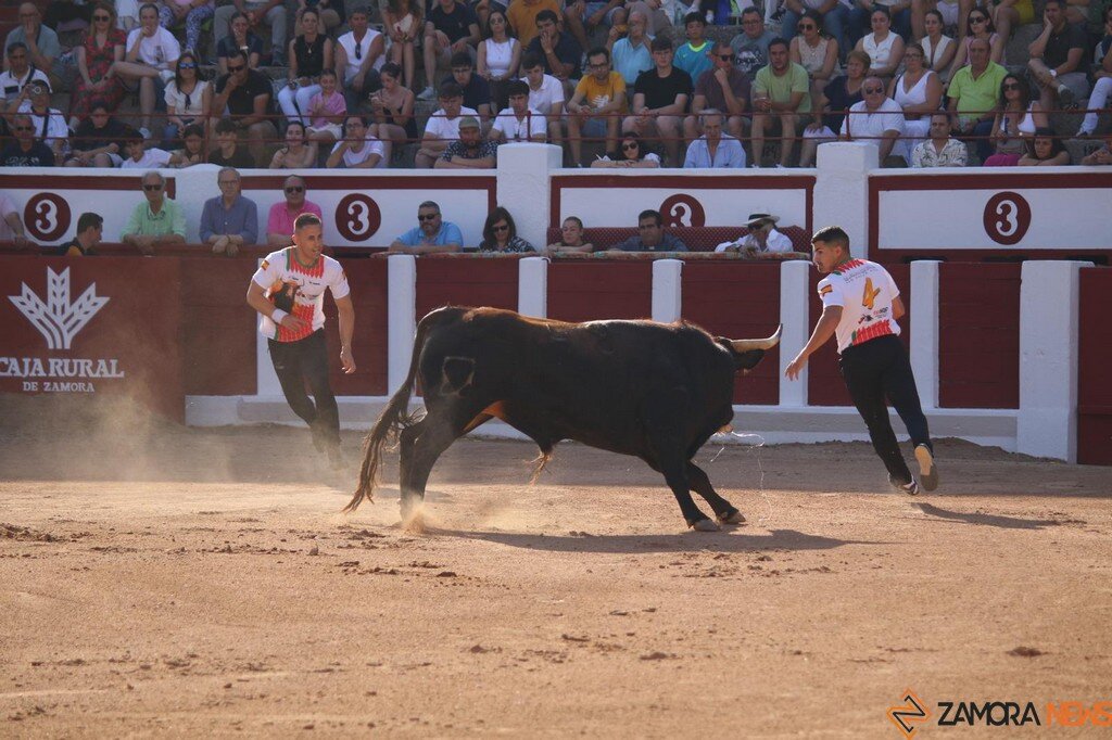 Concurso Nacional de Cortes en Zamora_32
