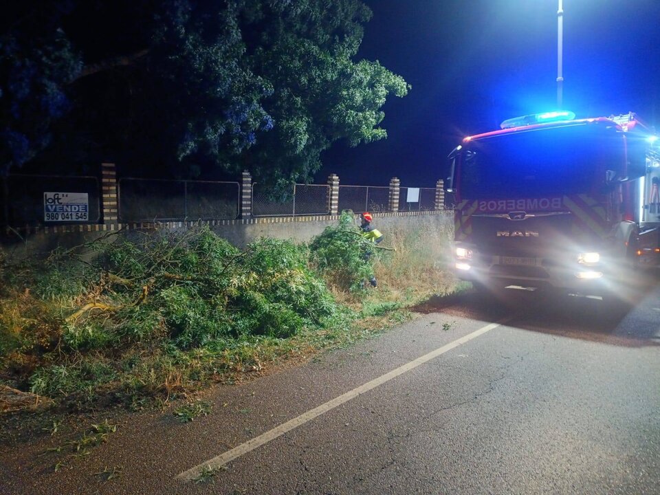 Bomberos retiran rama Zamora-La Hiniesta_2