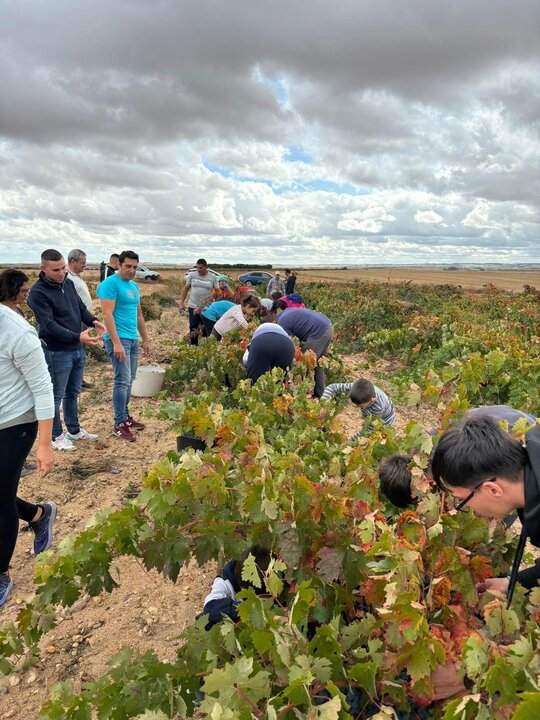Asociación Villa-Balzam celebran la Vendimia