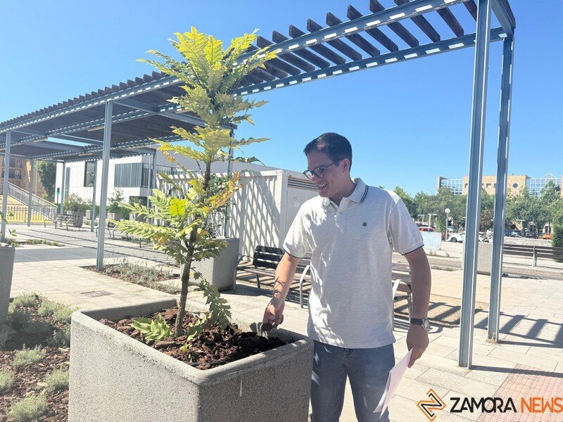 Pablo Novo en las obras de ajardinamiento realizadas en la avenida Reyes Católicos.