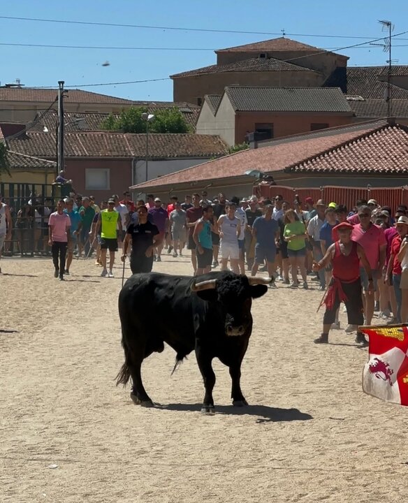encierro Fuentesaúco. imagen redes sociales @agripilar