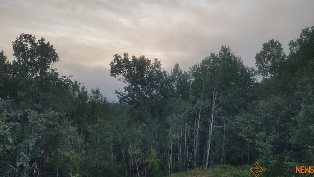 Sanabria _5