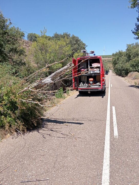 Intrvención de los Bomberos del Parque de Tierras de Aliste para retirer una rama que obstaculizaba el paso