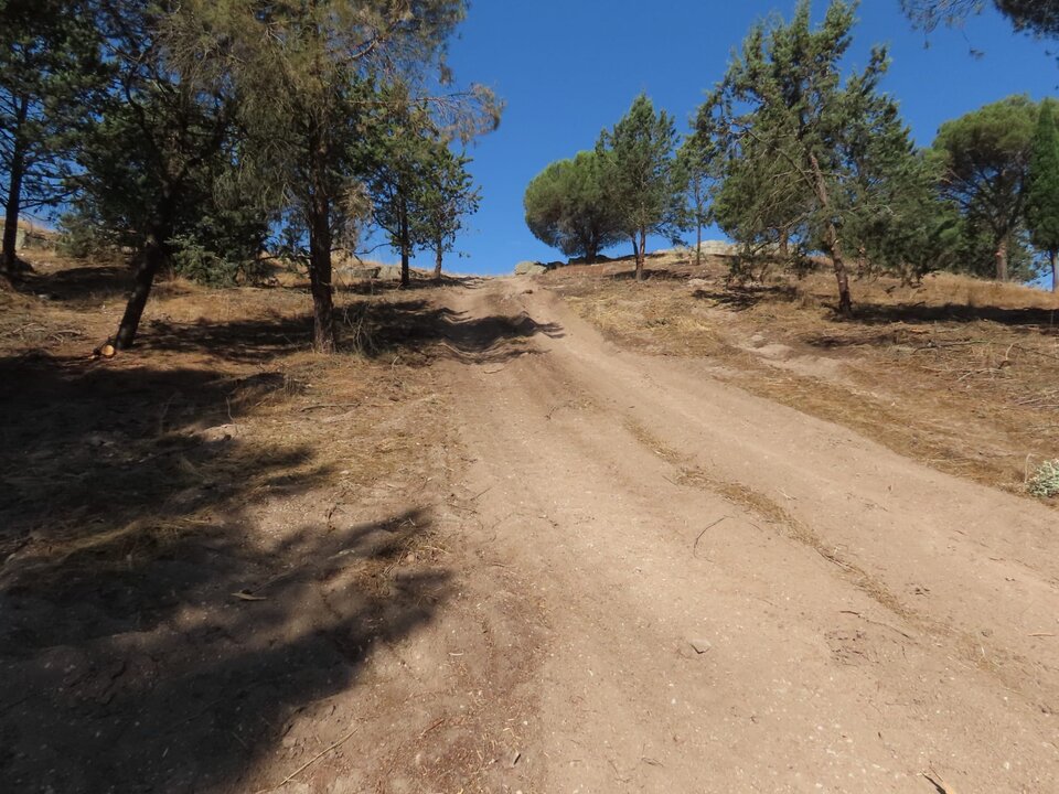 tala de árboles en Valorio
