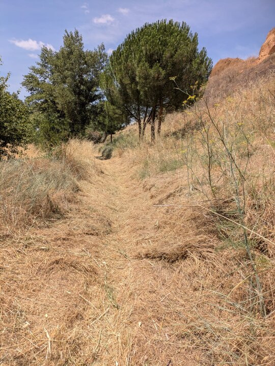 trabajos de limpieza y acondicionamiento del Sendero de las Fuentes y del paso subterráneo bajo la vía férrea (2)