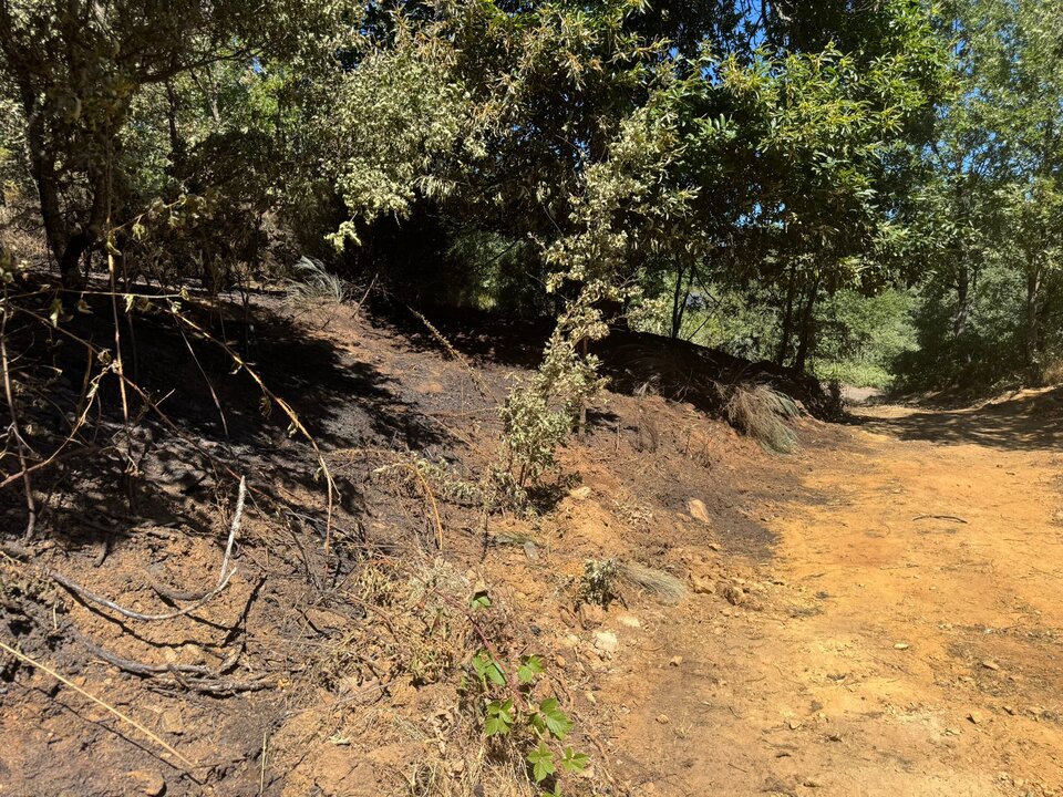 incendios en caminos