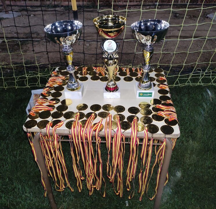Torneo Infantil de Fútbol en Corrales