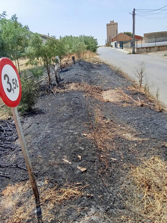 Incendio en Manganeses de la Lampreana 2