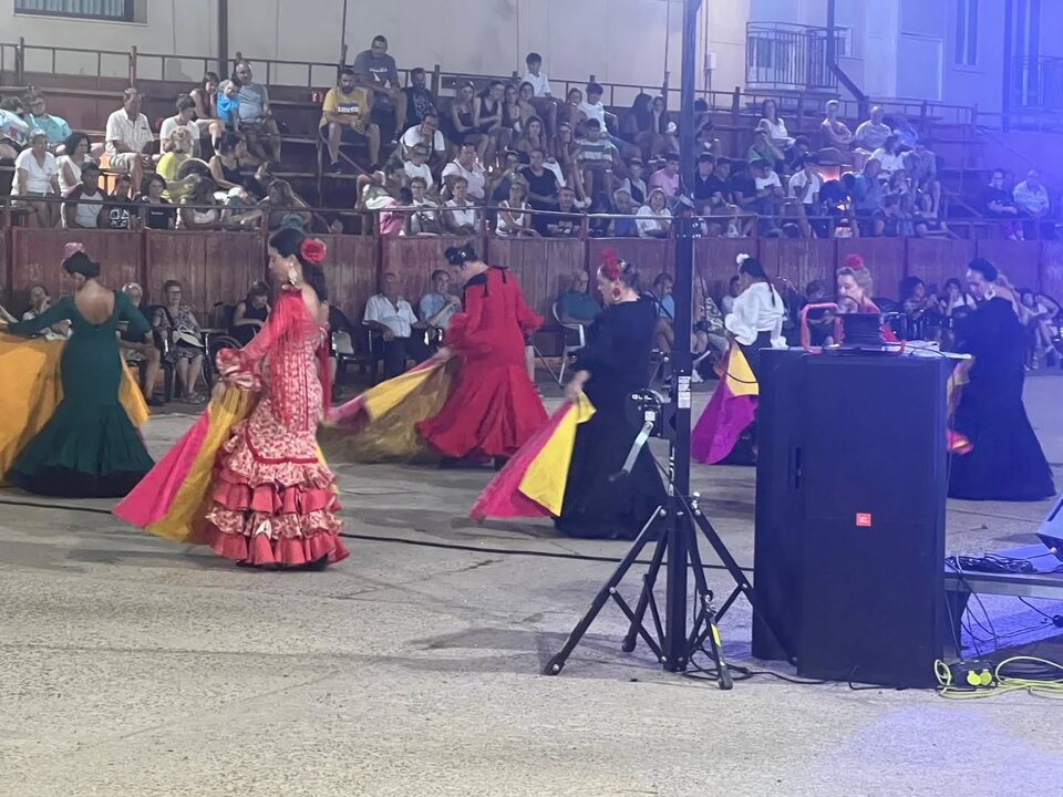 gala musical cpontra el cáncer Morales de Toro_3jpg