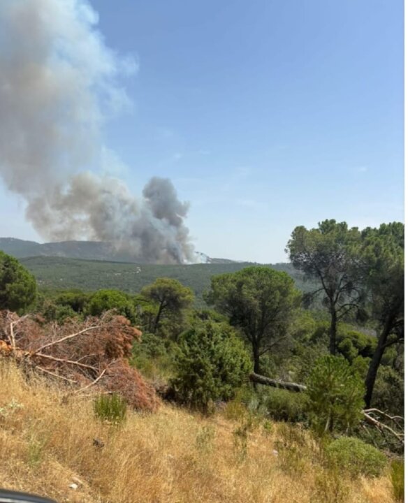 Ecologistas Zamora , incendio