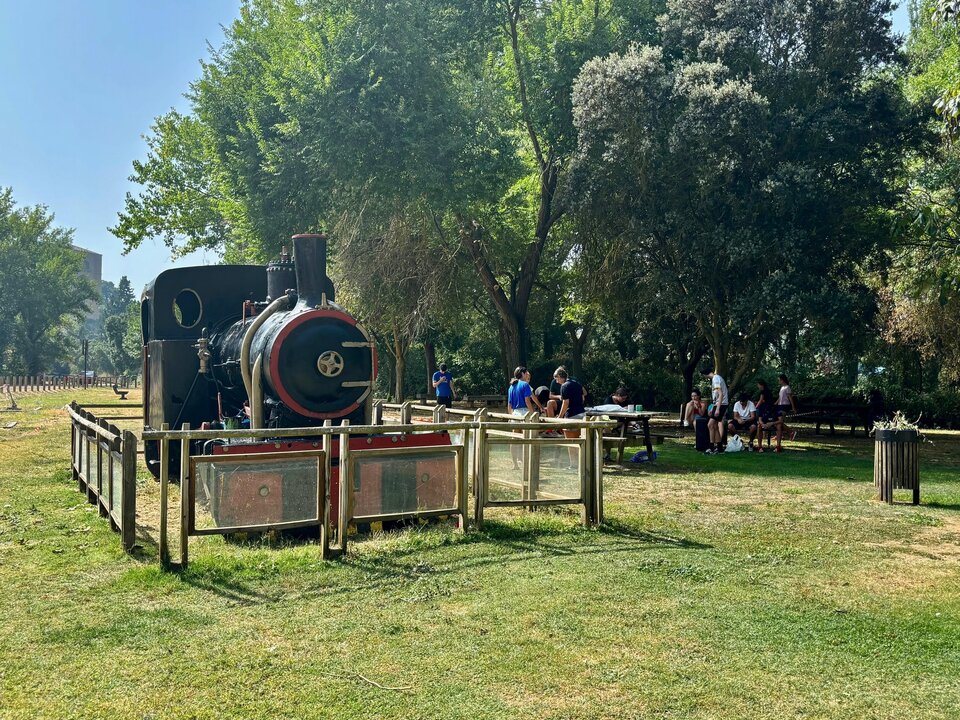 Dinamiza Benavente locomotora_2