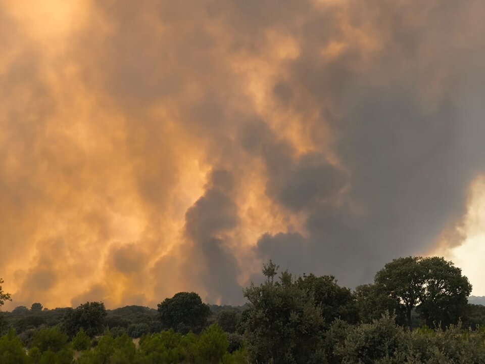 Incendio Molezuelas de la Carballeda_3