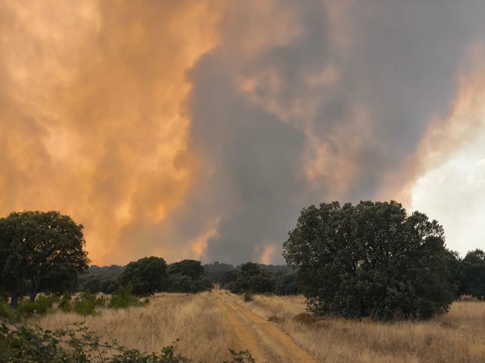 Incendio Molezuelas de la Carballeda_2