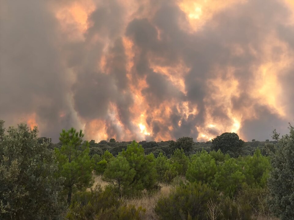 incendio Molezuelas de la Carballeda_4