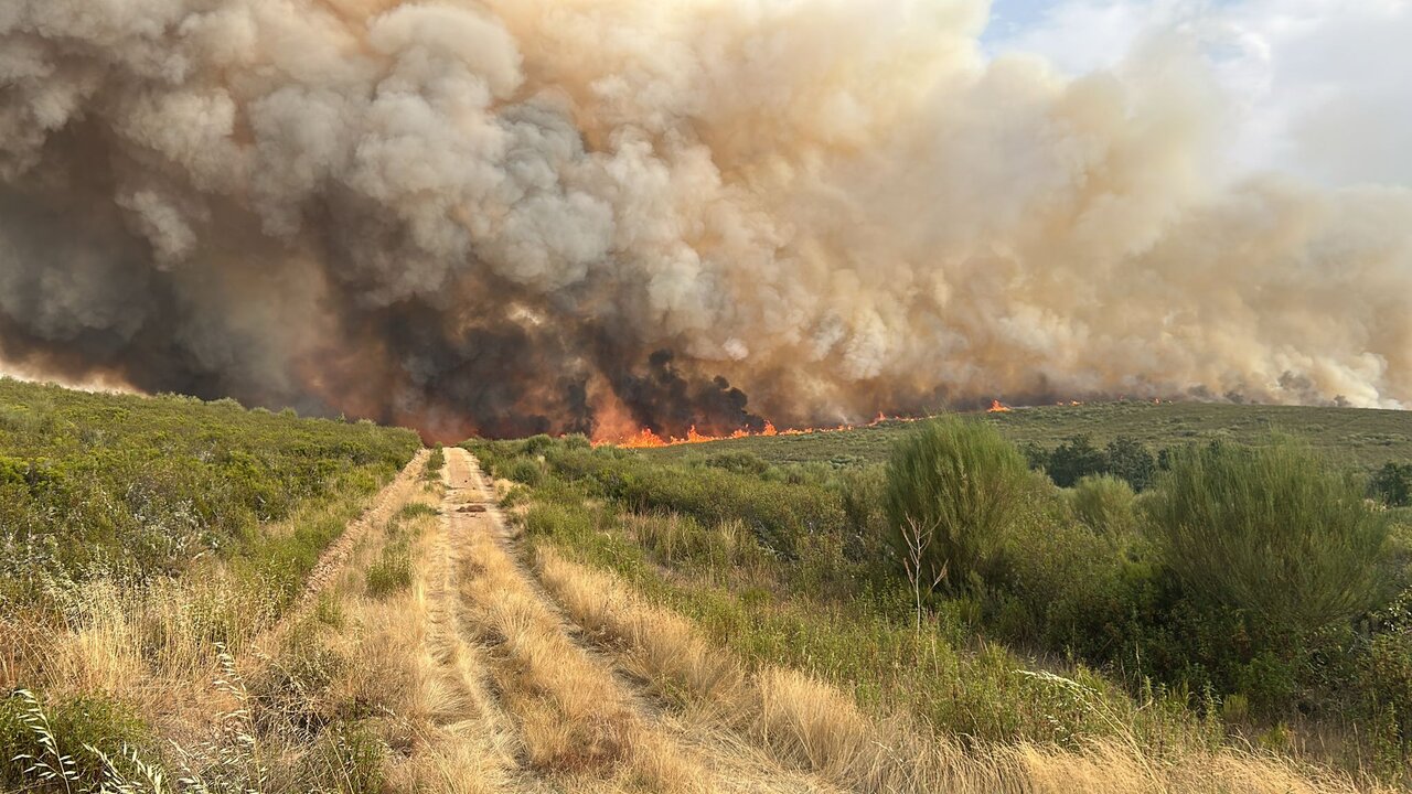 incendio Puercas (2)